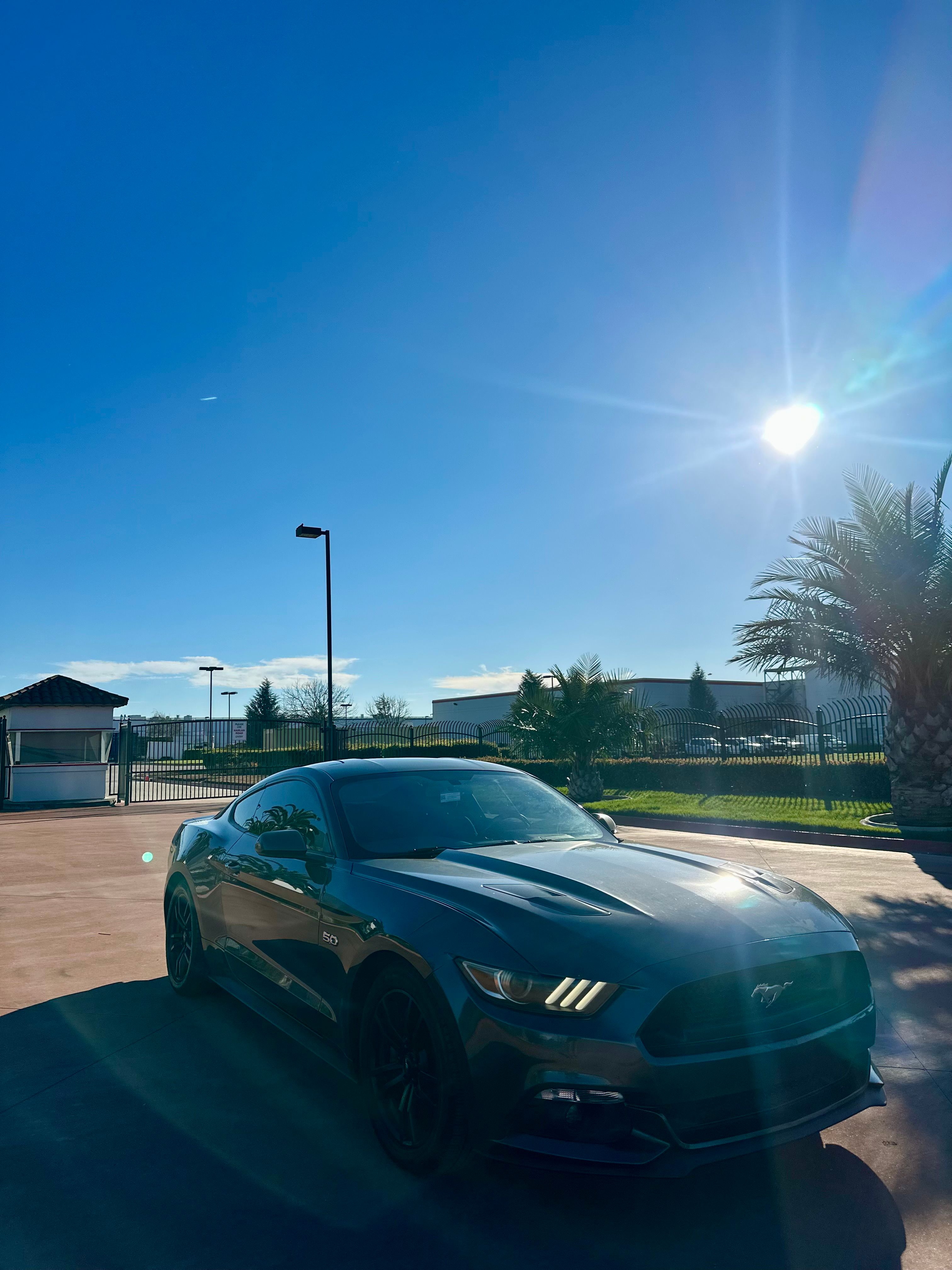 Used 2015 Ford Mustang GT RWD image 1