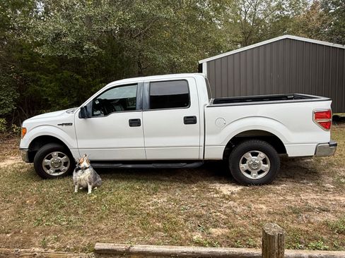 Used 2014 Ford F150 XLT image 4
