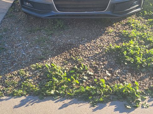 Used 2016 Audi A4 2.0T Premium Plus w/ Technology Package image 13