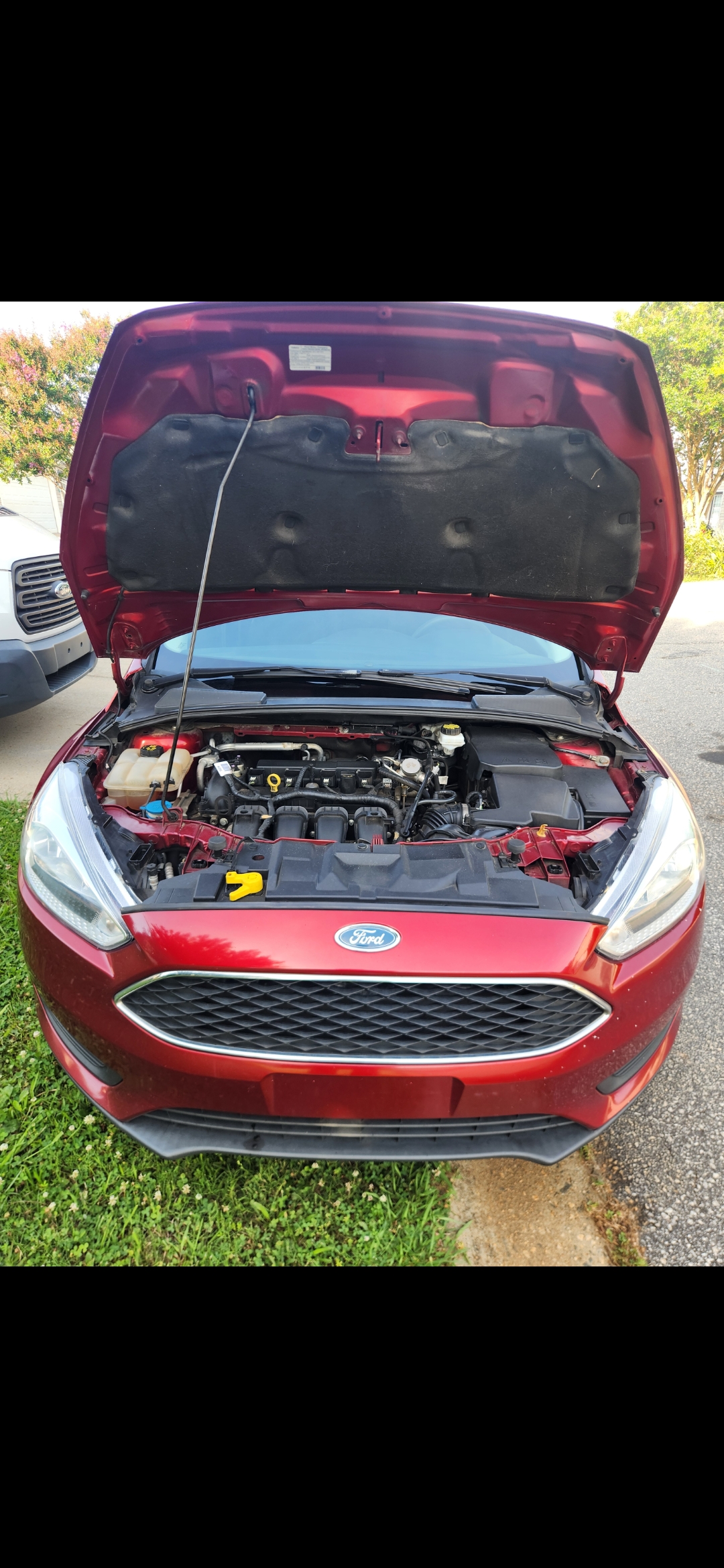 Used 2017 Ford Focus SE FWD image 12