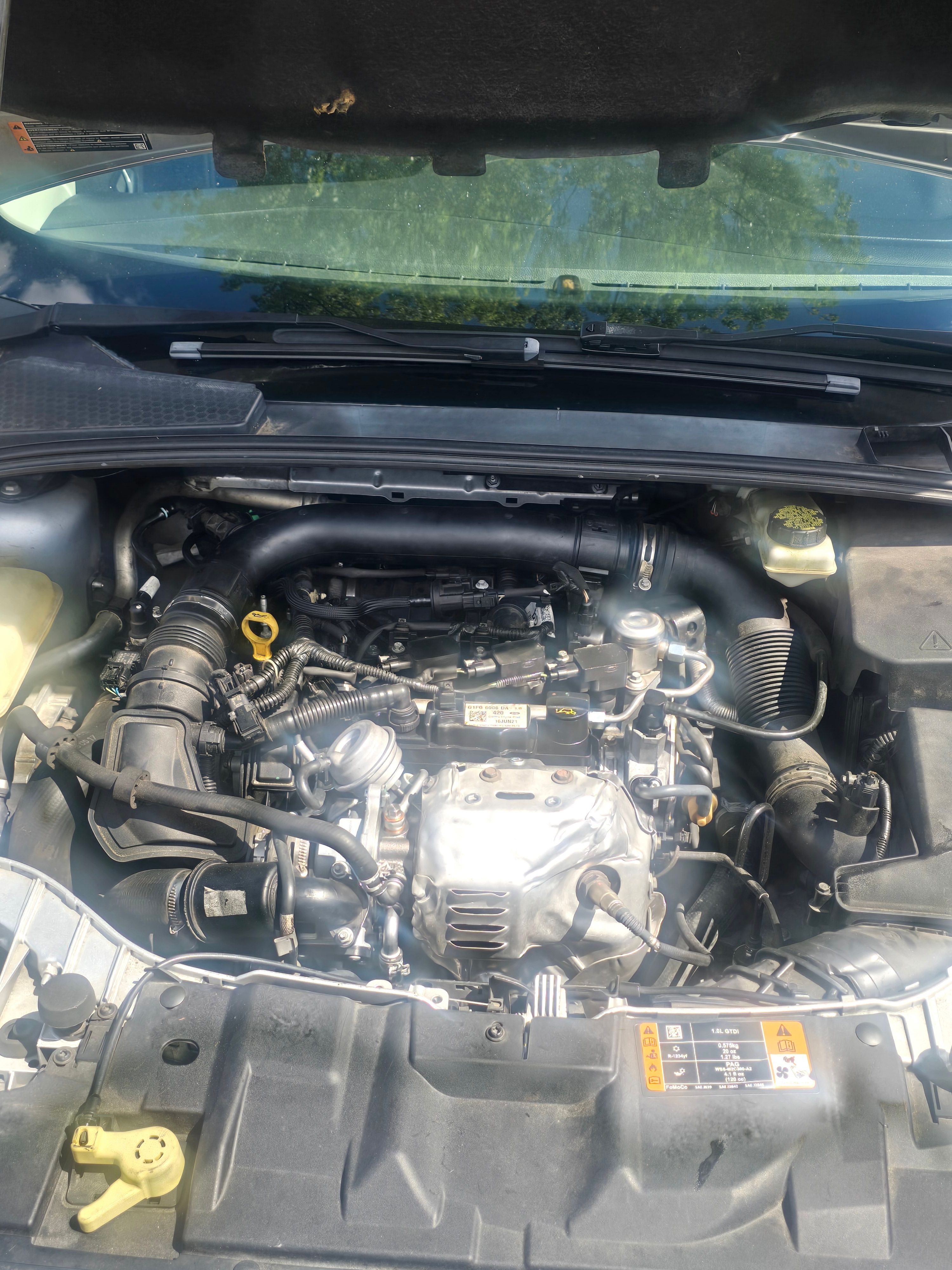 Used 2017 Ford Focus SE FWD image 1