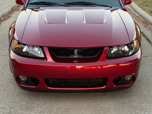 Used 2003 Ford Mustang Cobra image 13