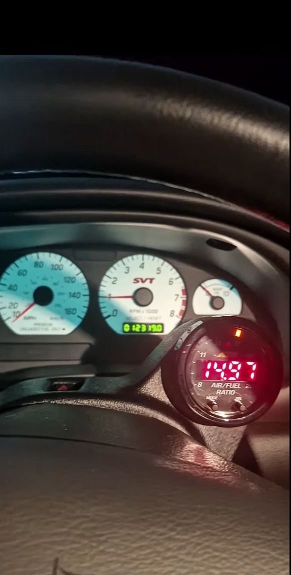 Used 2003 Ford Mustang Cobra RWD image 11