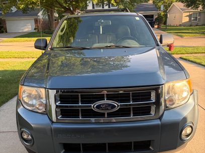Used 2010 Ford Escape XLT