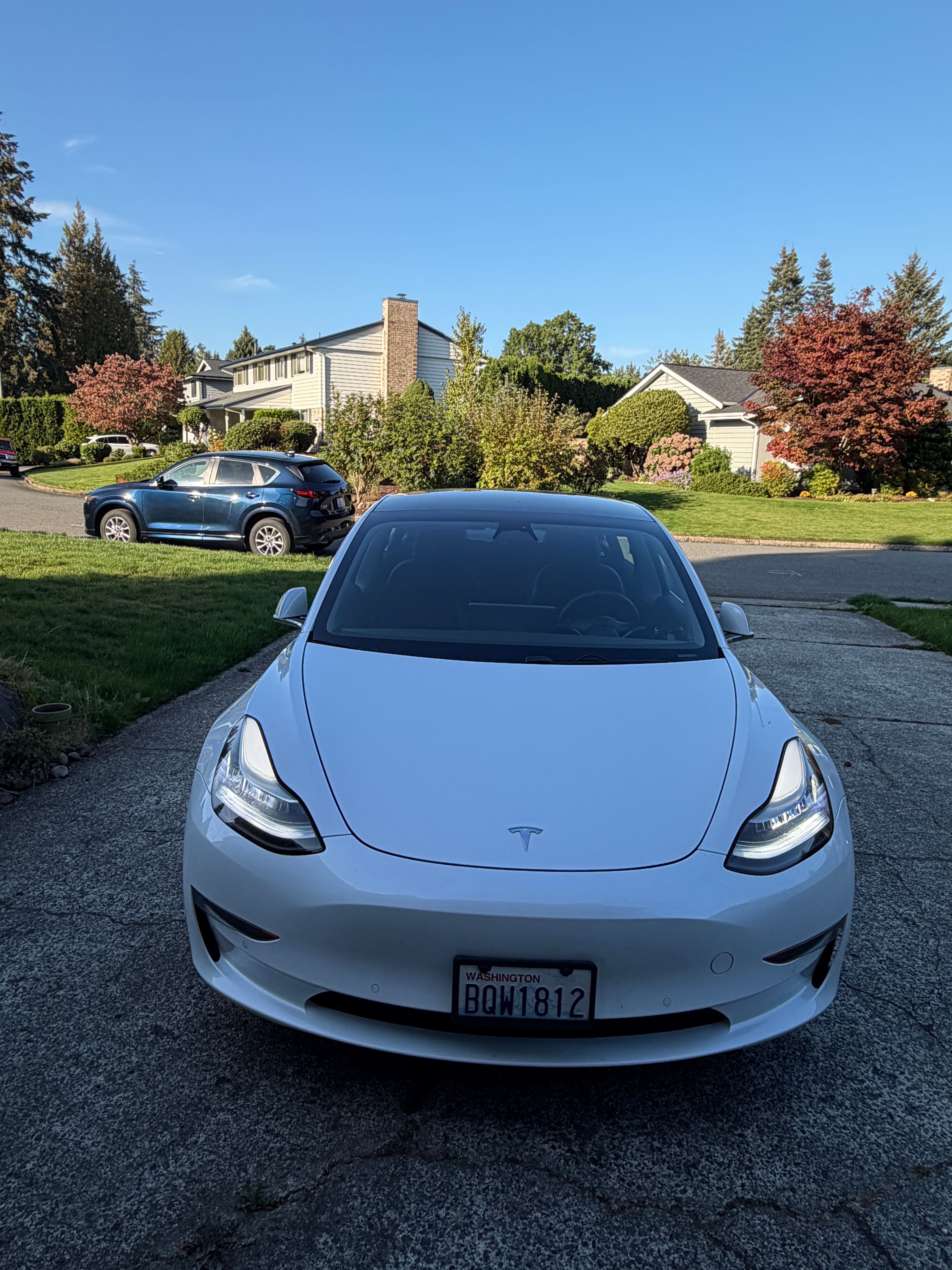 Used 2019 Tesla Model 3 Standard Range Plus RWD image 5