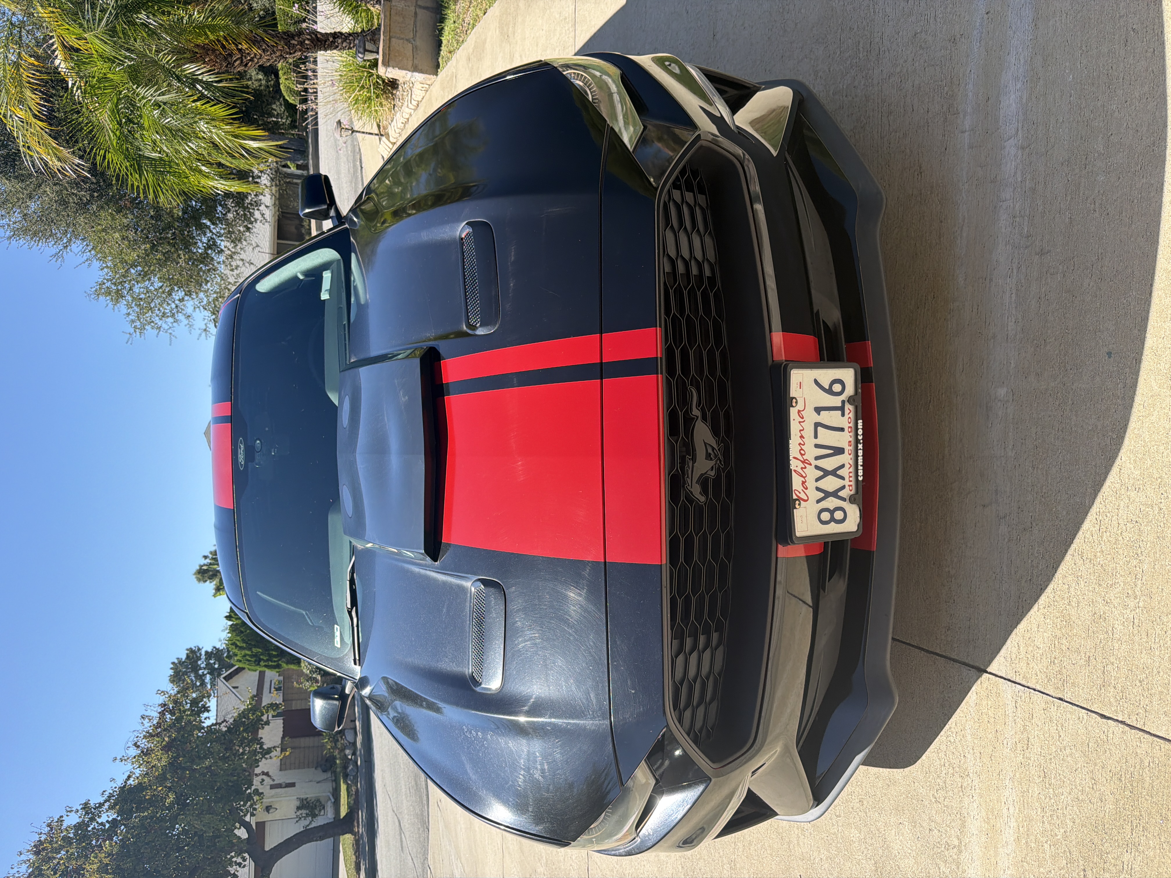 Used 2019 Ford Mustang Coupe w/ Equipment Group 101A RWD image 2