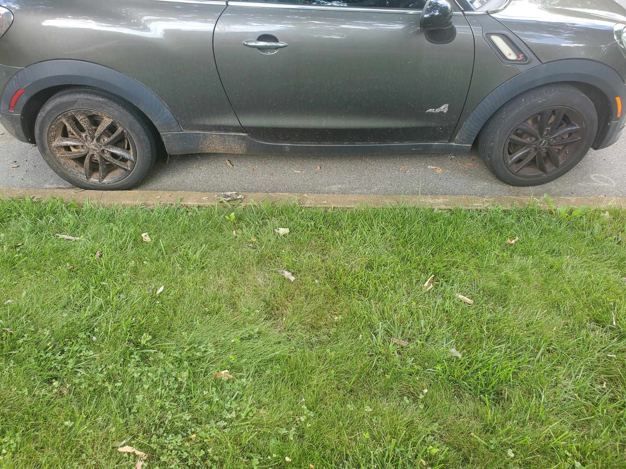 Used 2013 MINI Cooper Paceman S AWD/4WD image 2