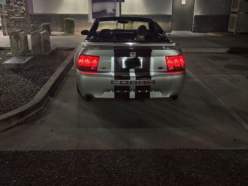 Used 2001 Ford Mustang Cobra image 6