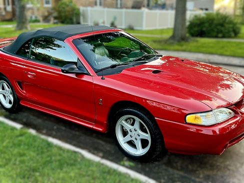 Used 1997 Ford Mustang Cobra RWD image 2
