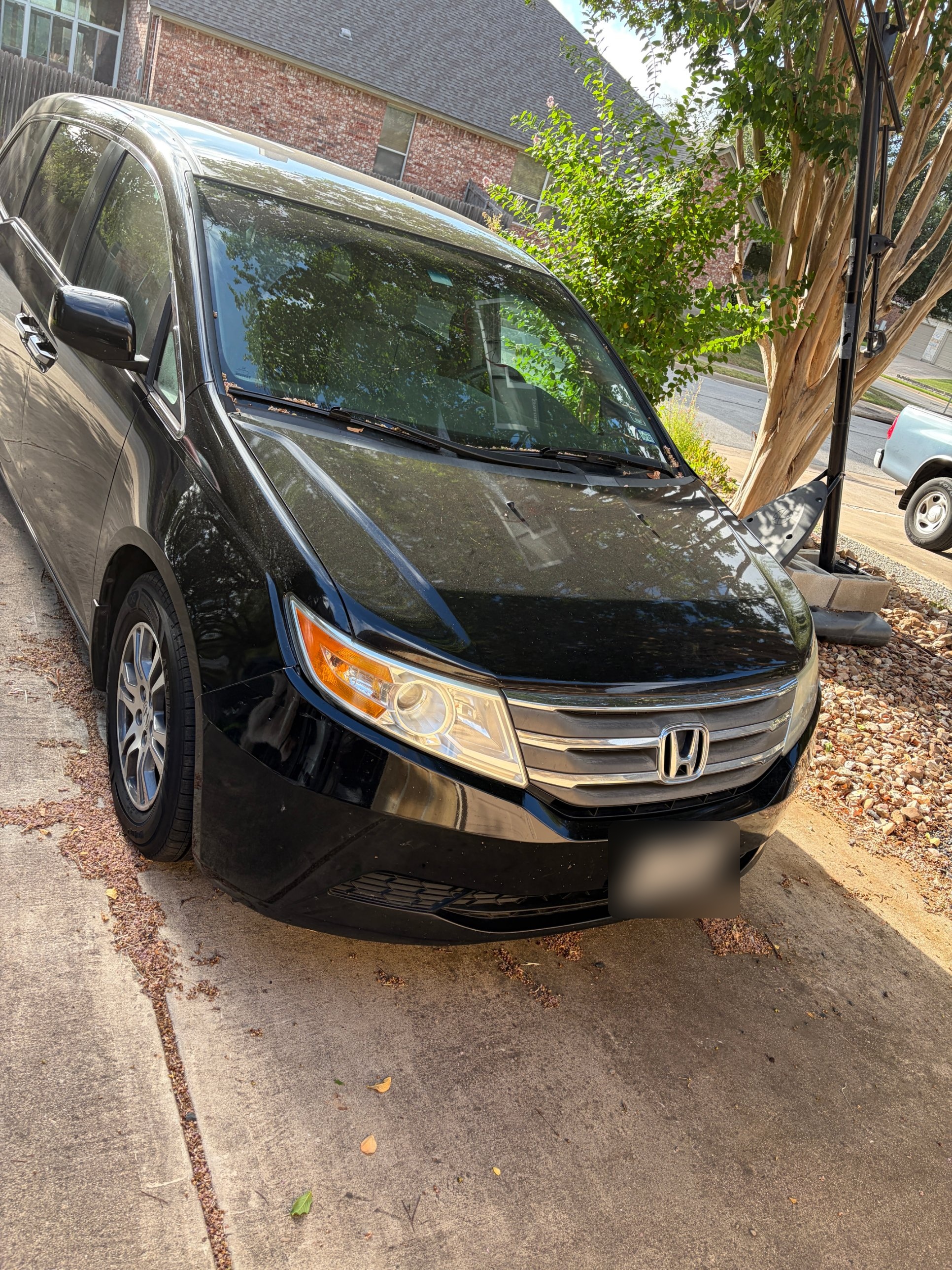 Used 2011 Honda Odyssey EX image 1