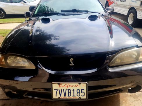 Used 1998 Ford Mustang Cobra image 4