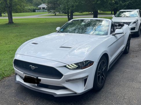 Used 2023 Ford Mustang Premium RWD image 5