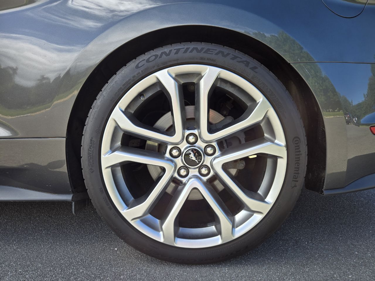 Used 2019 Ford Mustang GT Premium w/ Equipment Group 401A RWD image 10