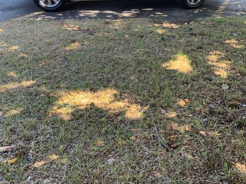 Used 2009 Buick LaCrosse CXL image 2