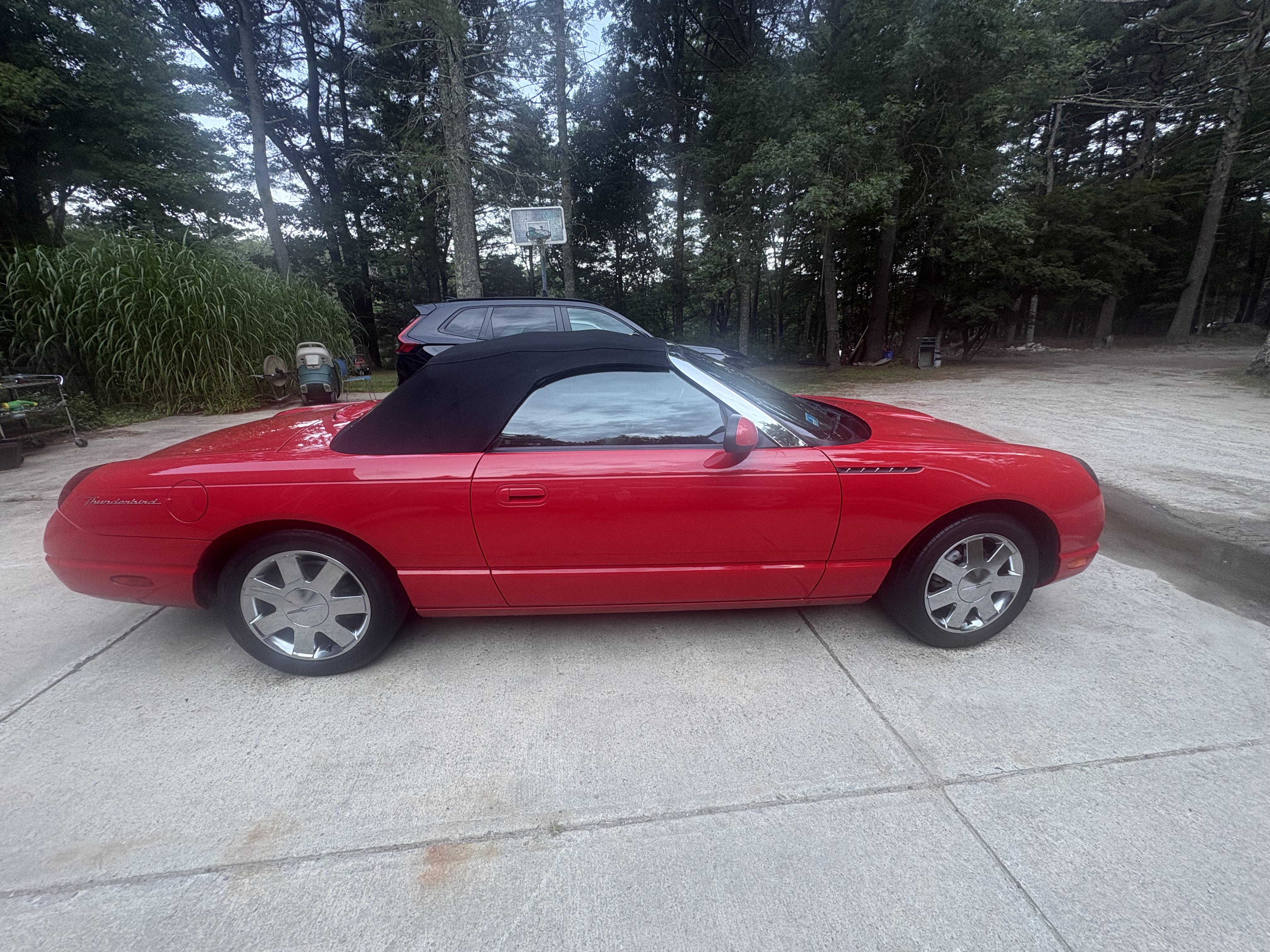 Used 2002 Ford Thunderbird RWD image 10