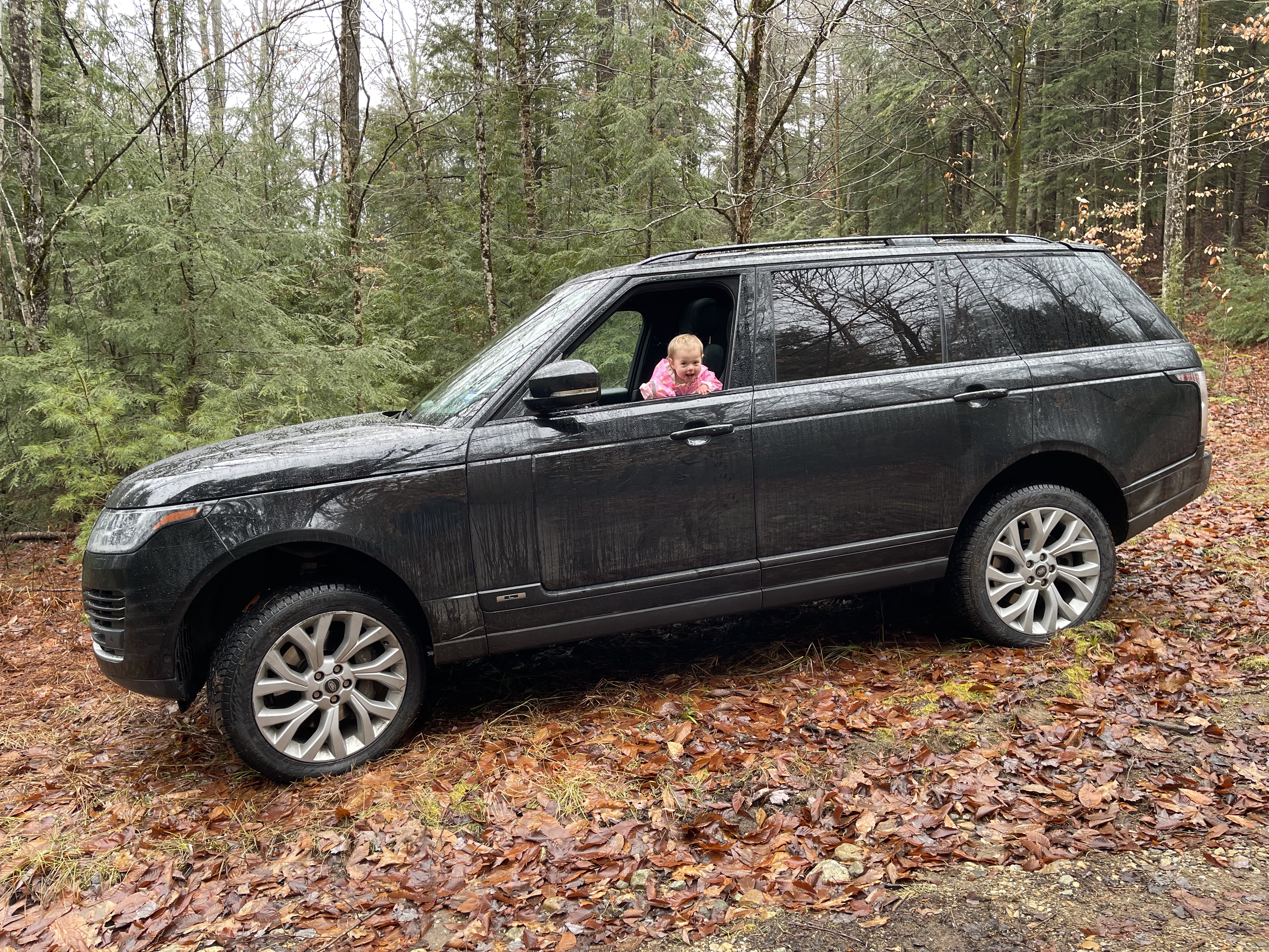 Used 2019 Land Rover Range Rover Long Wheelbase Supercharged AWD/4WD image 2