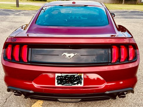 Used 2019 Ford Mustang Premium w/ Equipment Group 201A RWD image 6