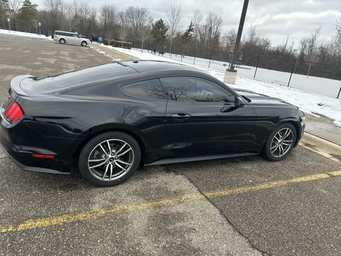 Used 2017 Ford Mustang Premium image 1