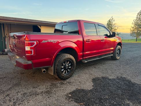 Used 2019 Ford F150 XLT w/ Equipment Group 302A Luxury AWD/4WD image 6