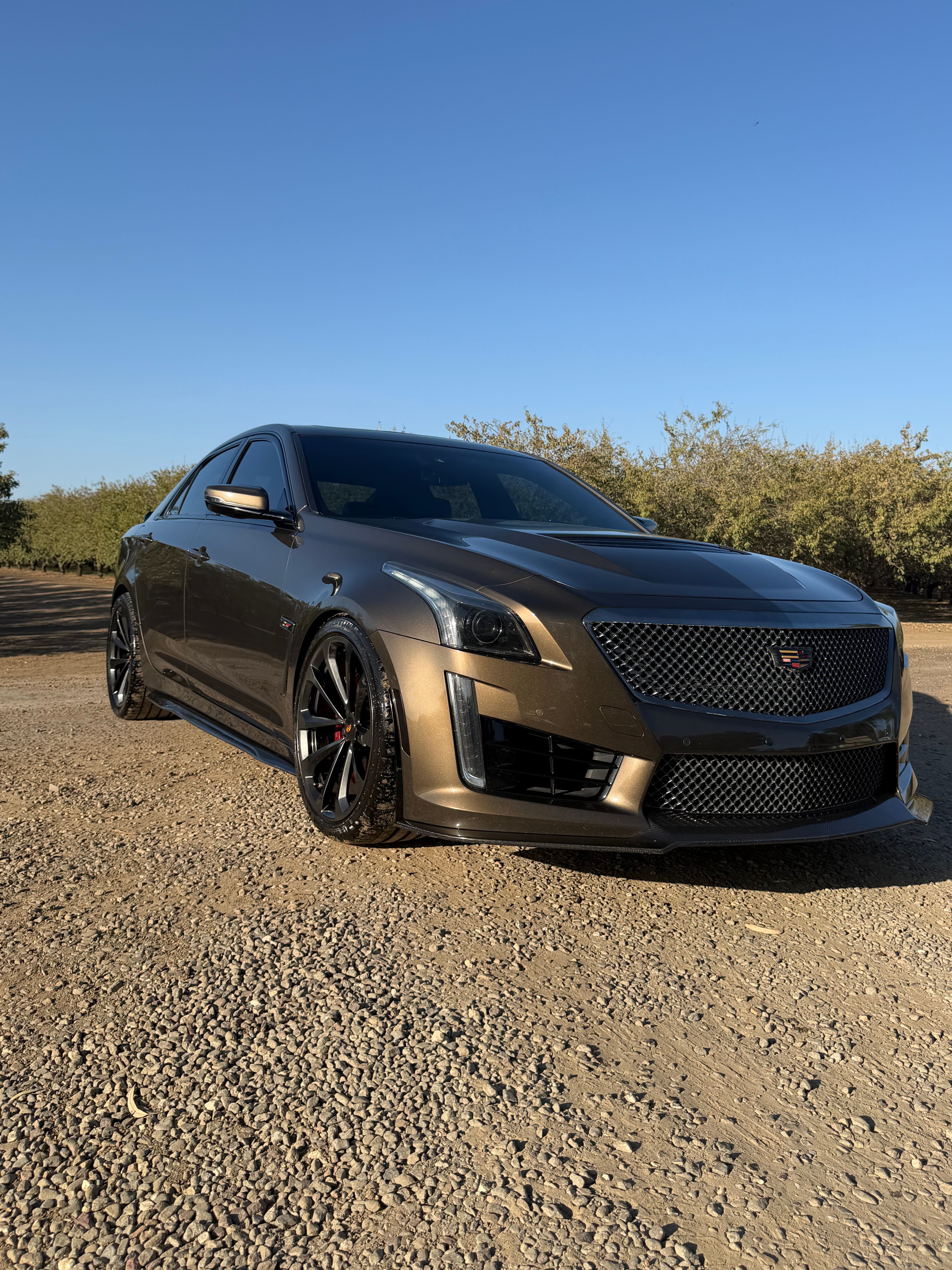 Used 2019 Cadillac CTS V w/ Pedestal Edition RWD image 17