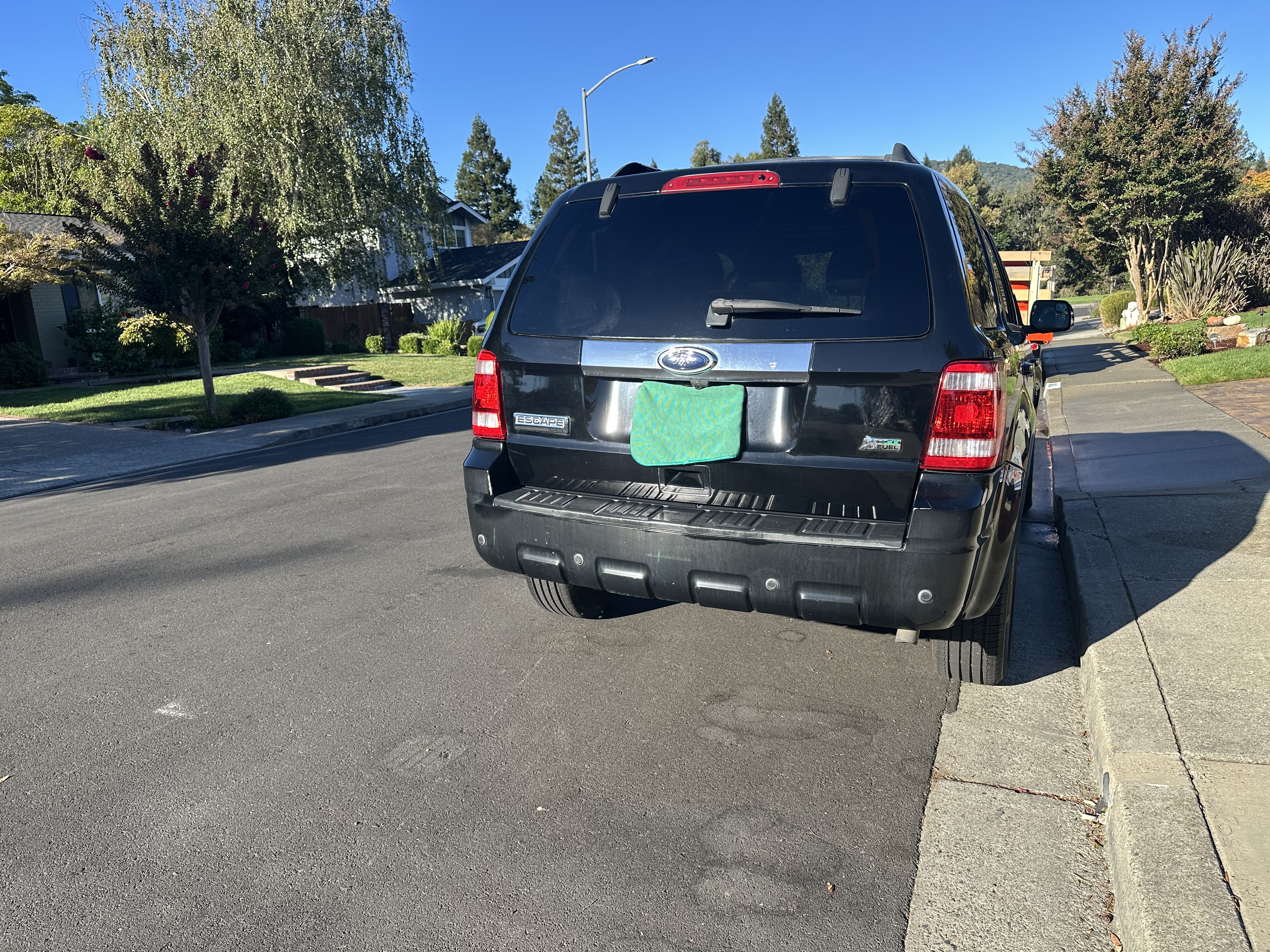 Used 2010 Ford Escape Limited FWD image 5