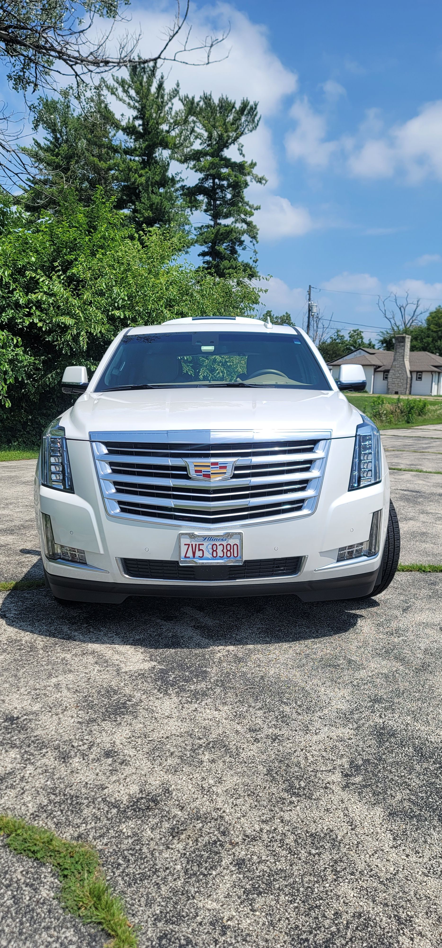 Used 2018 Cadillac Escalade Platinum AWD/4WD image 1