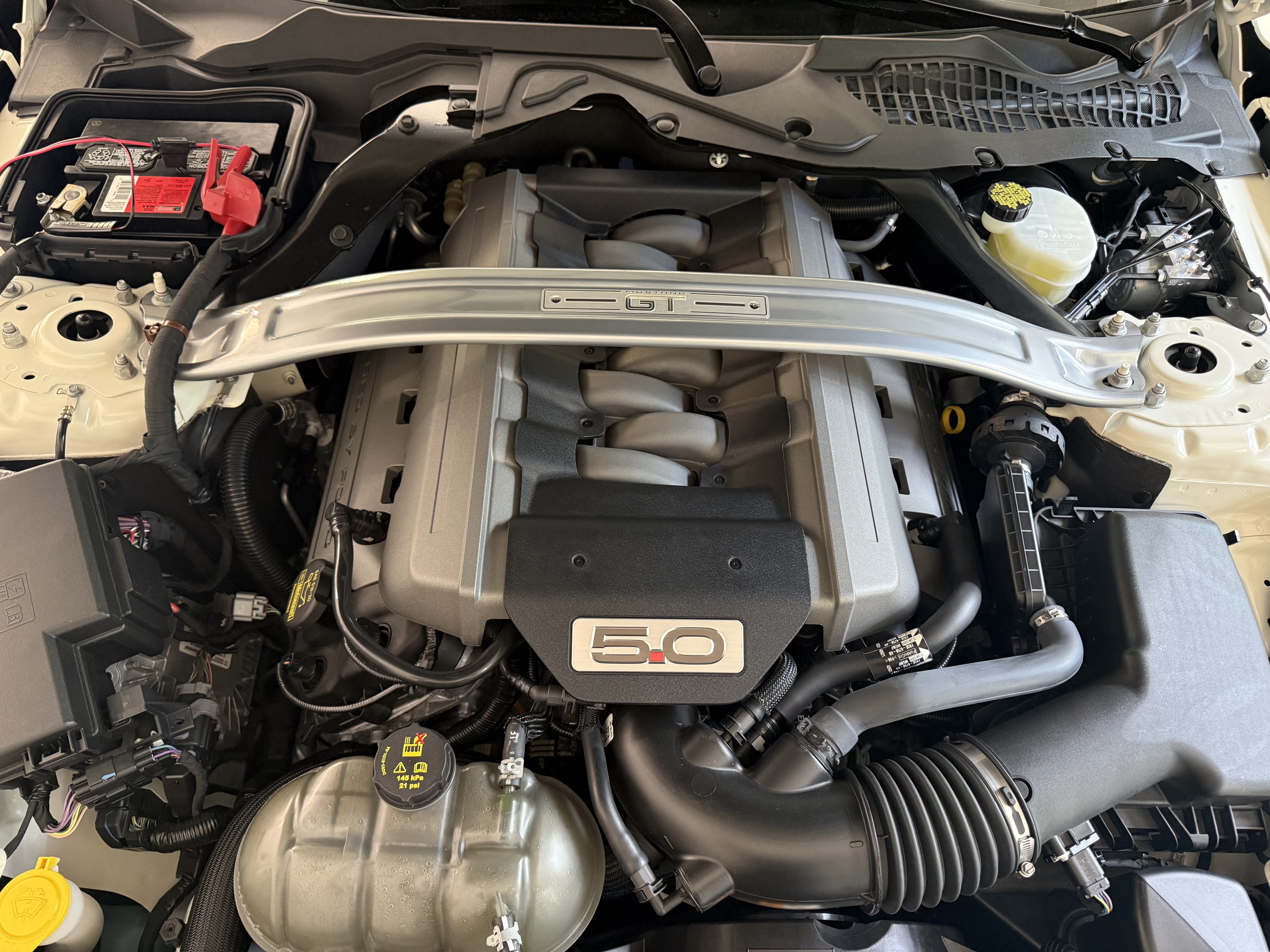 Used 2015 Ford Mustang 50 Years RWD image 14