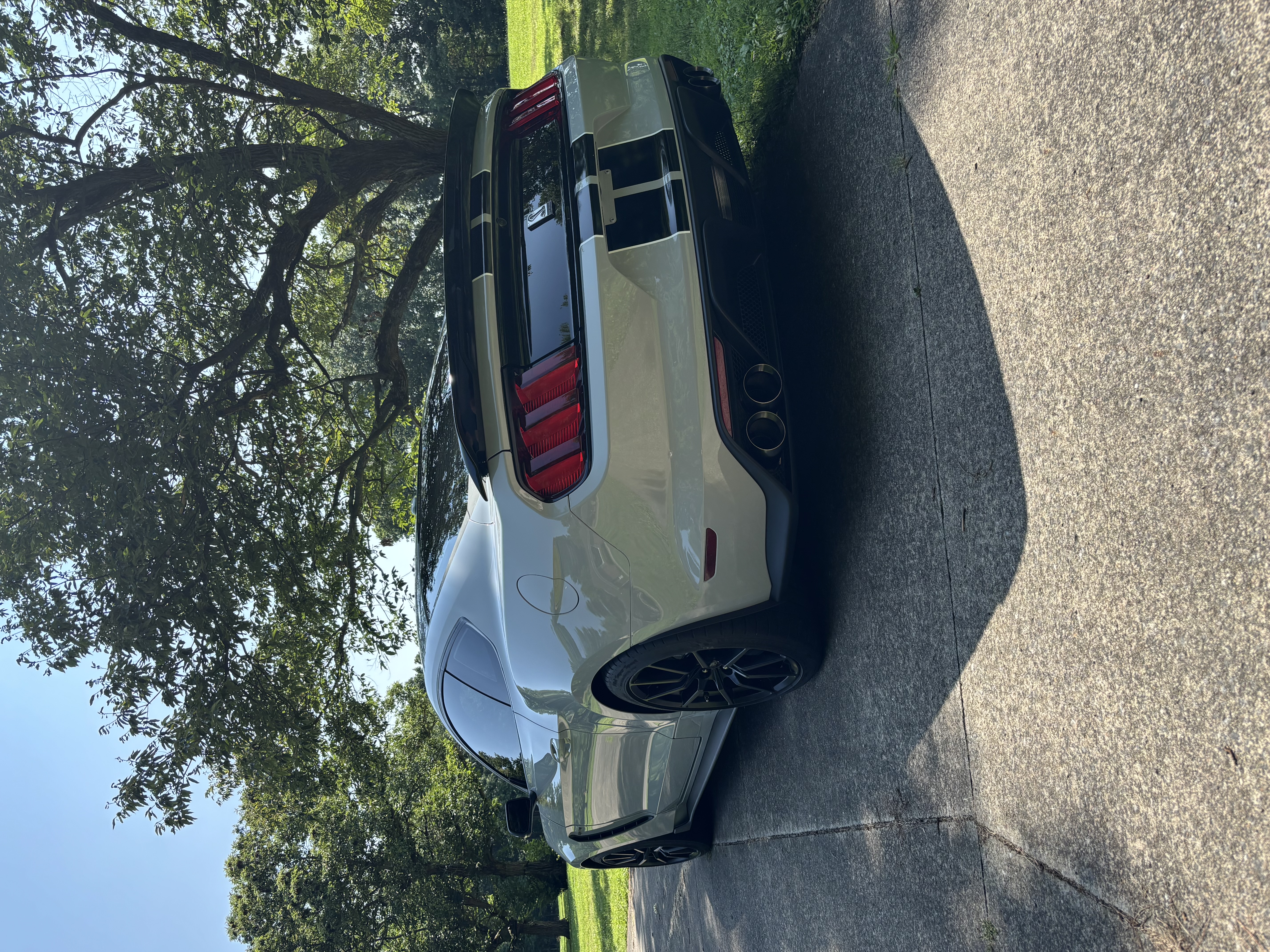 Used 2017 Ford Mustang Shelby GT350 w/ Electronics Package RWD image 4