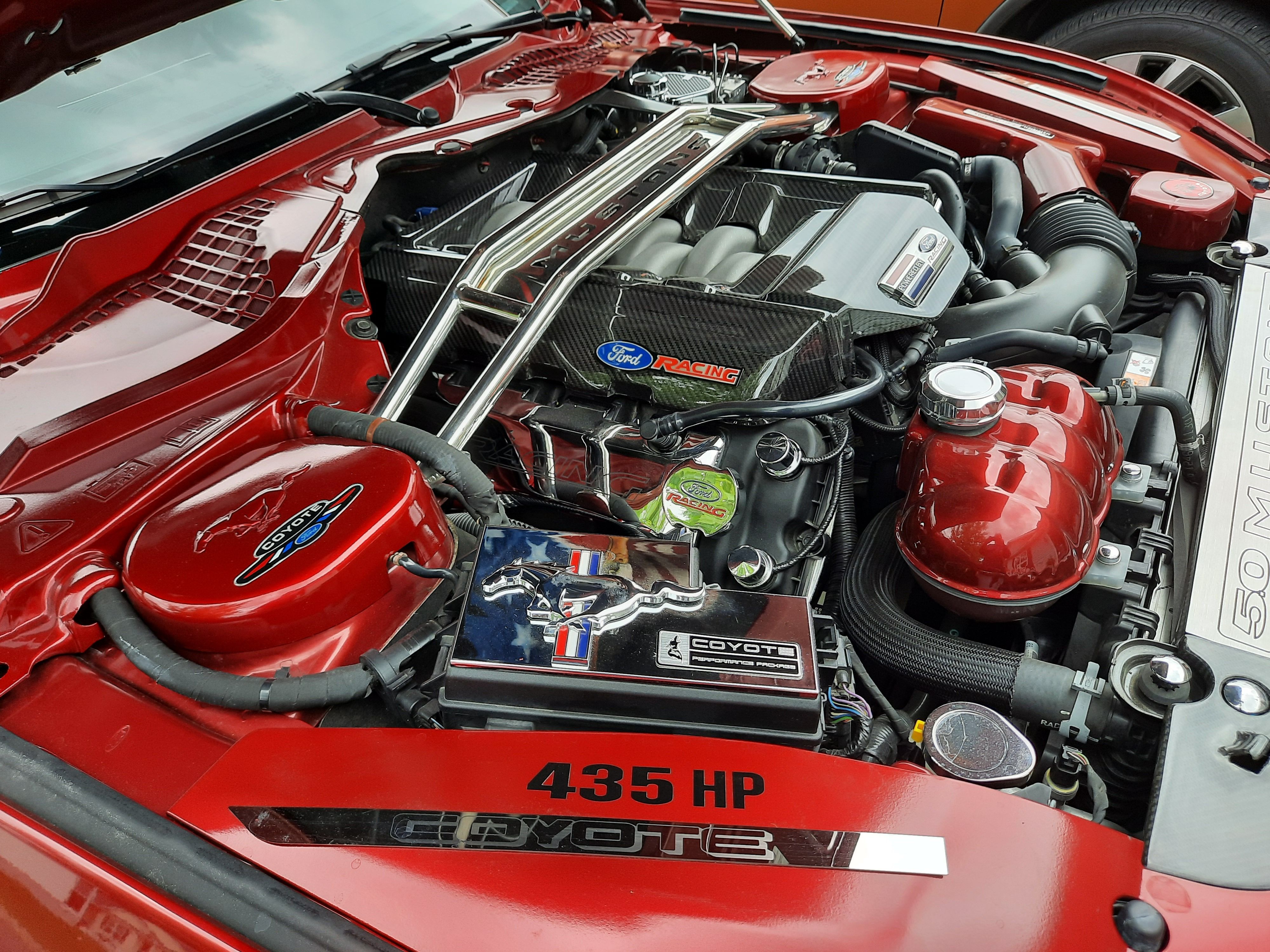 Used 2016 Ford Mustang GT Premium w/ Equipment Group 401A RWD image 8