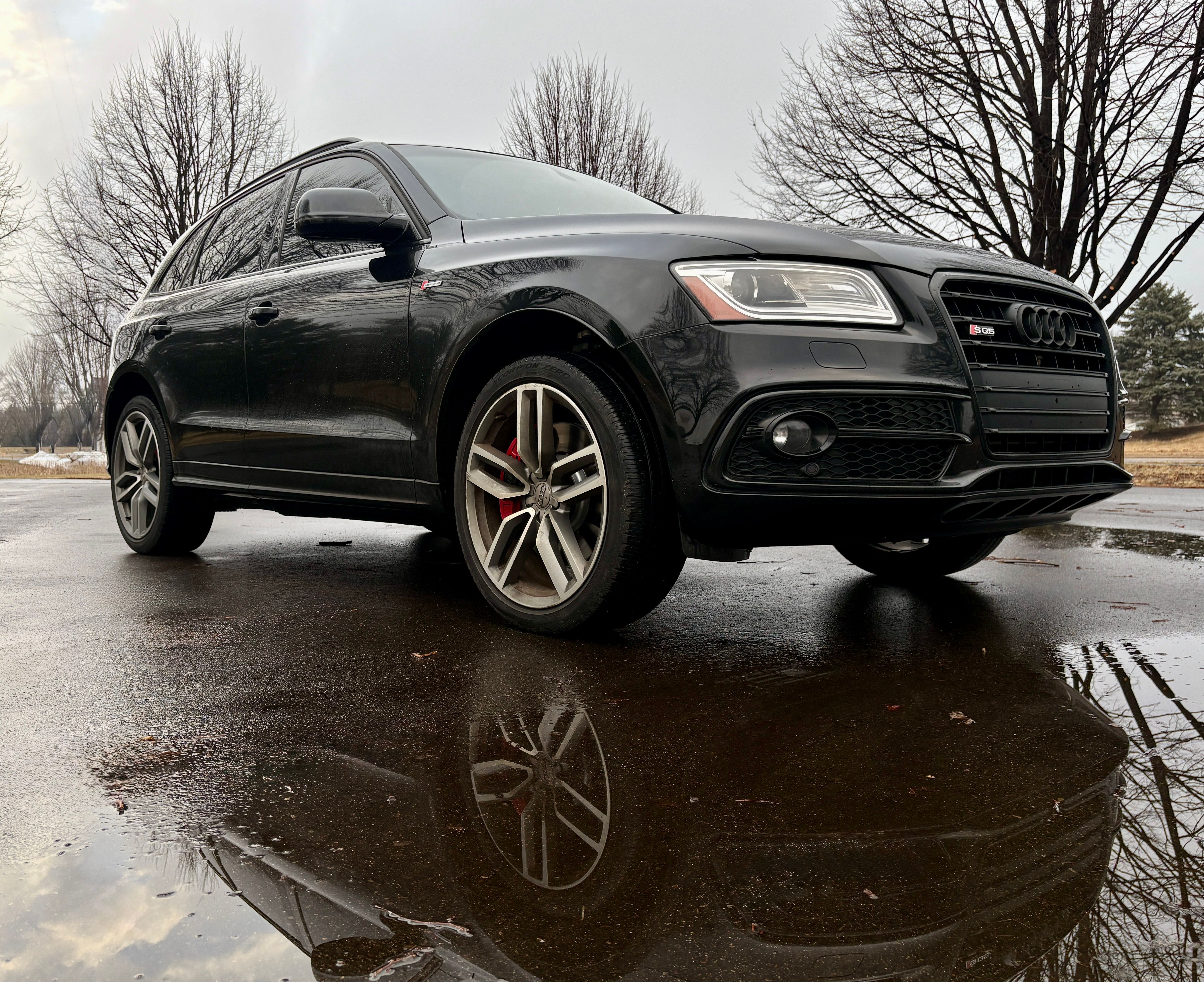 Used 2016 Audi SQ5 Premium Plus w/ Technology Package AWD/4WD image 5