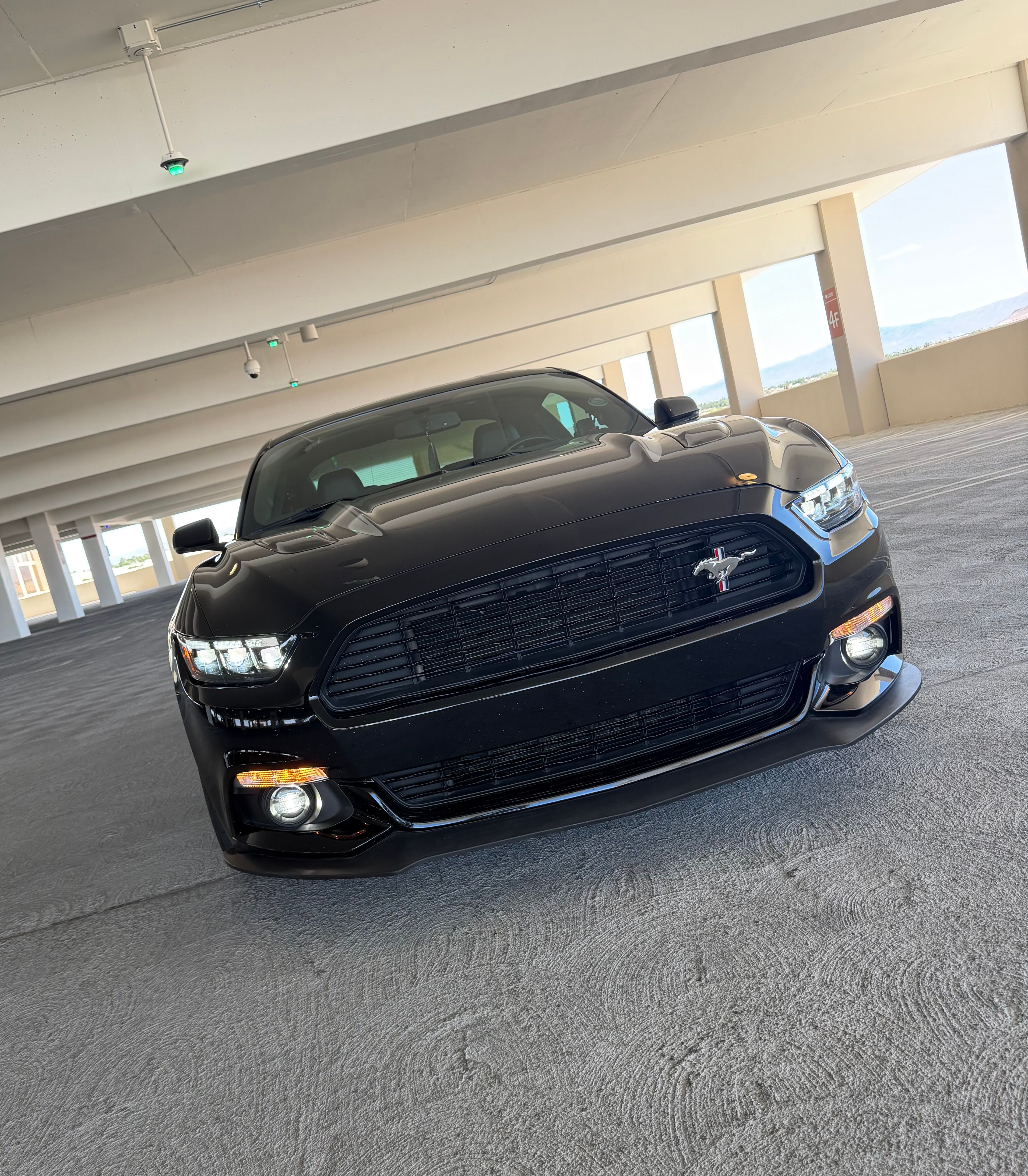 Used 2016 Ford Mustang GT Premium w/ Equipment Group 401A RWD image 17
