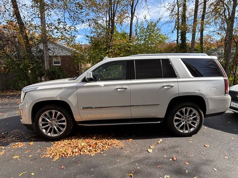 Used 2019 Cadillac Escalade Luxury image 1