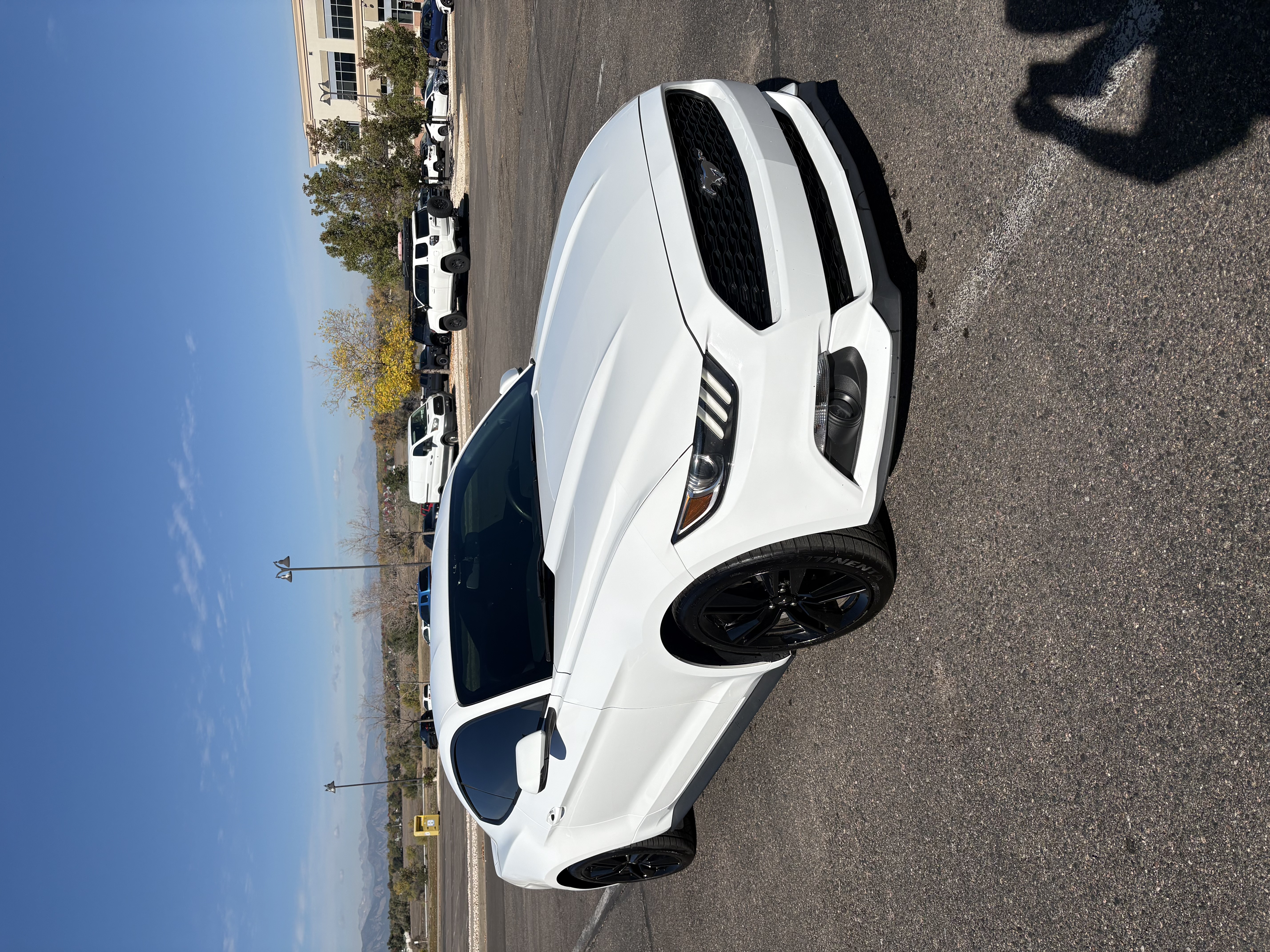 Used 2015 Ford Mustang Premium w/ Ecoboost Performance Package RWD image 1