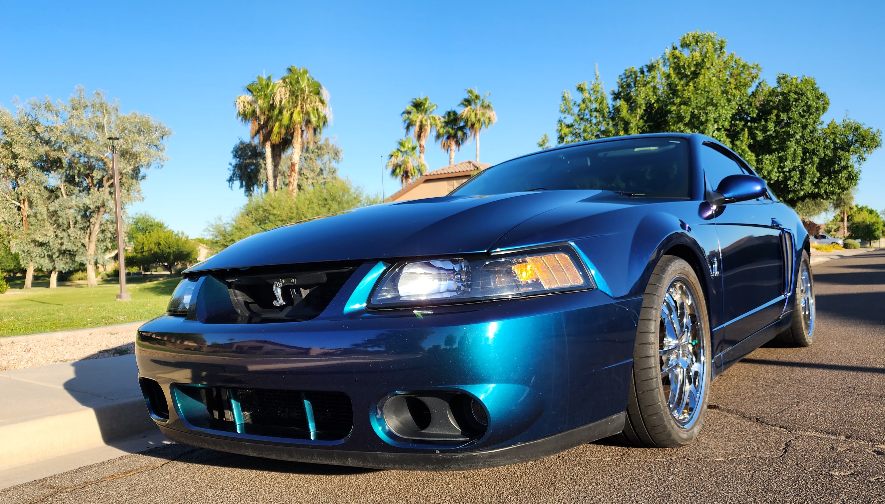 Used 2004 Ford Mustang Cobra RWD image 6