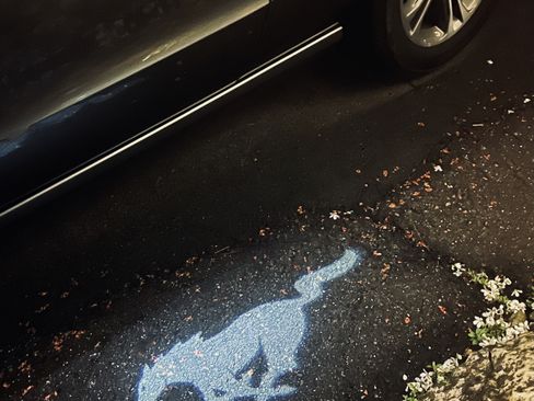 Used 2014 Ford Mustang Premium w/ Comfort Package image 18