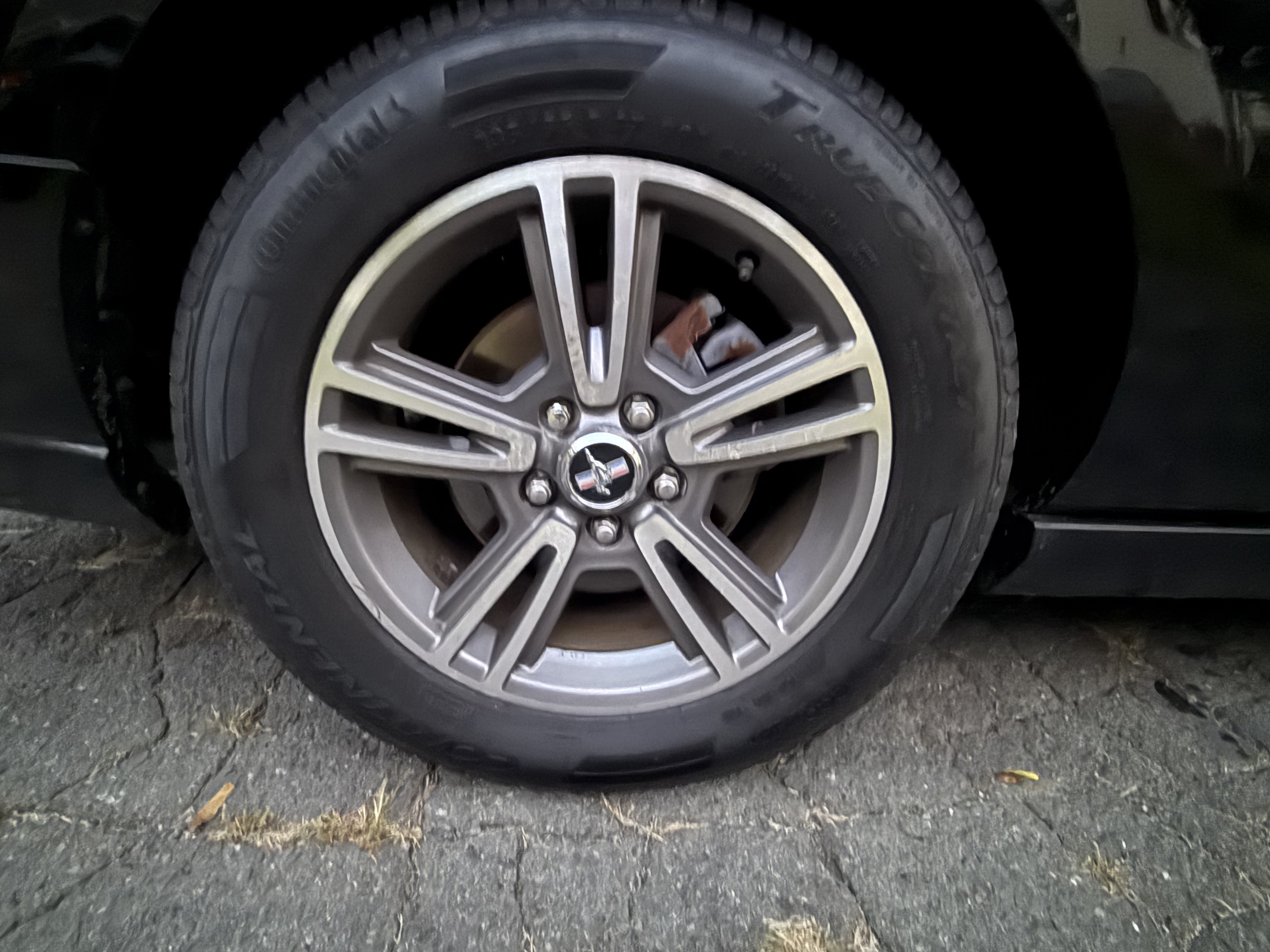 Used 2013 Ford Mustang Premium RWD image 11