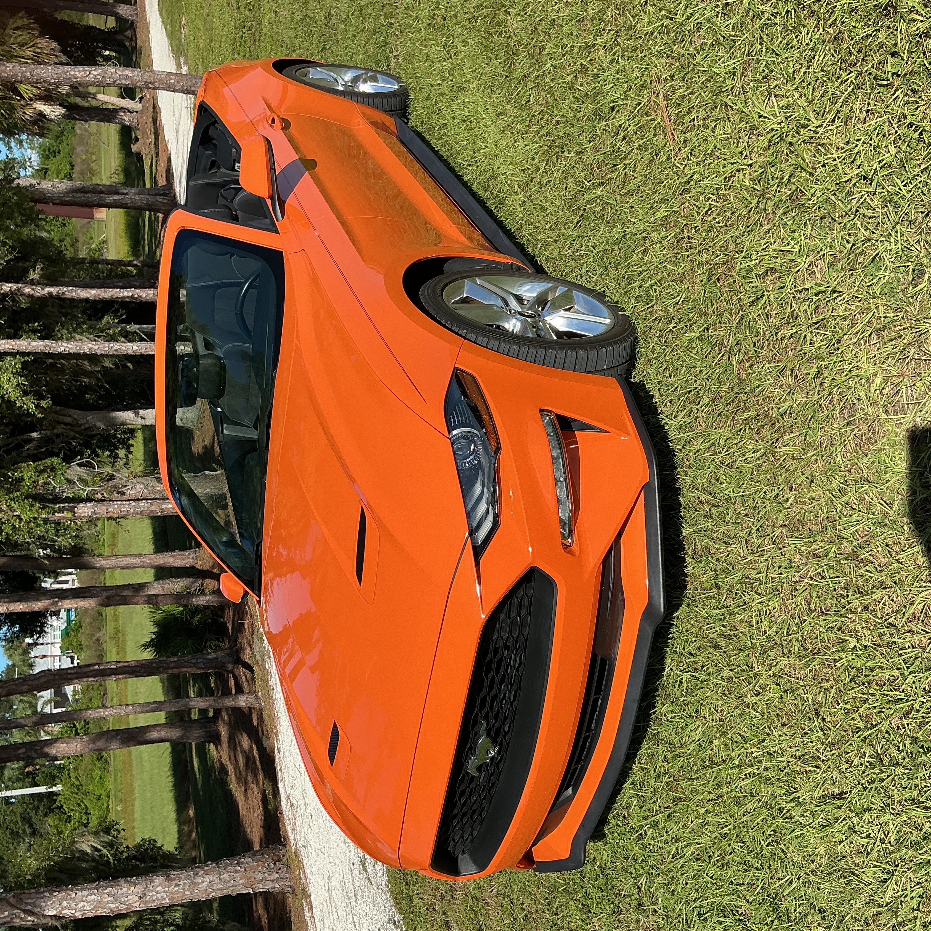 Used 2020 Ford Mustang Convertible w/ Equipment Group 101A RWD image 1