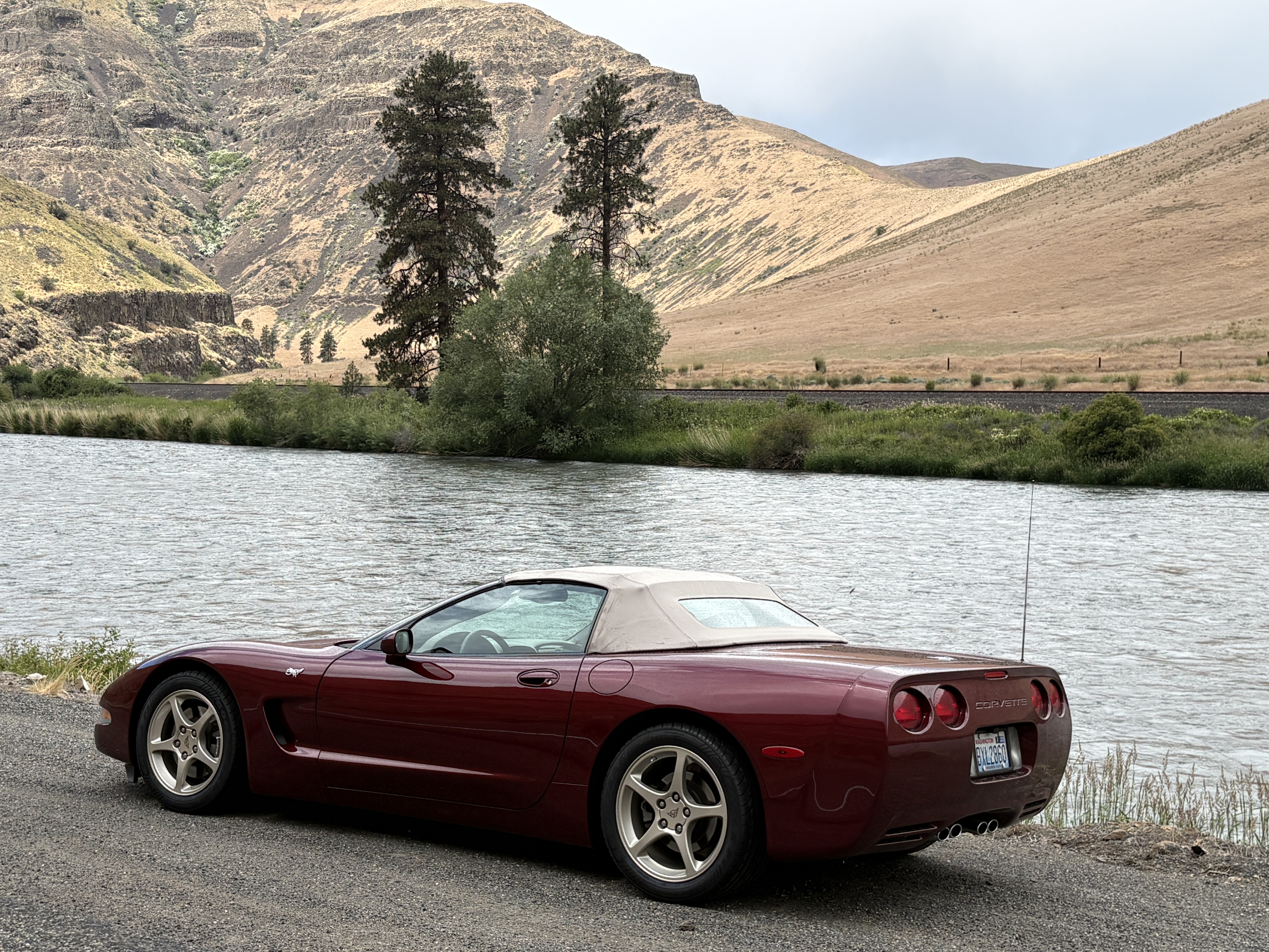 Used 2003 Chevrolet Corvette Convertible w/ Preferred Equipment Group1 RWD image 1