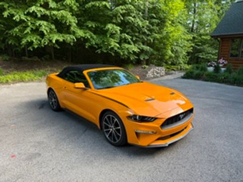 Used 2019 Ford Mustang Premium w/ Equipment Group 201A RWD image 12