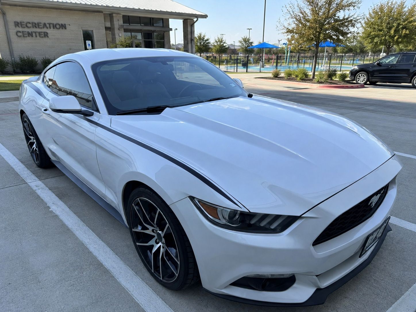 Used 2017 Ford Mustang Premium w/ Equipment Group 201A RWD image 2
