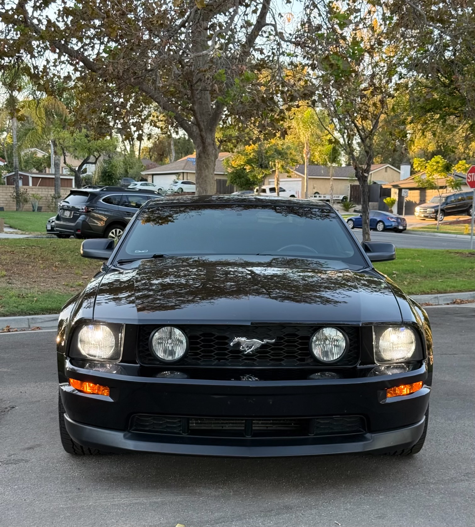 Used 2006 Ford Mustang GT Premium RWD image 8