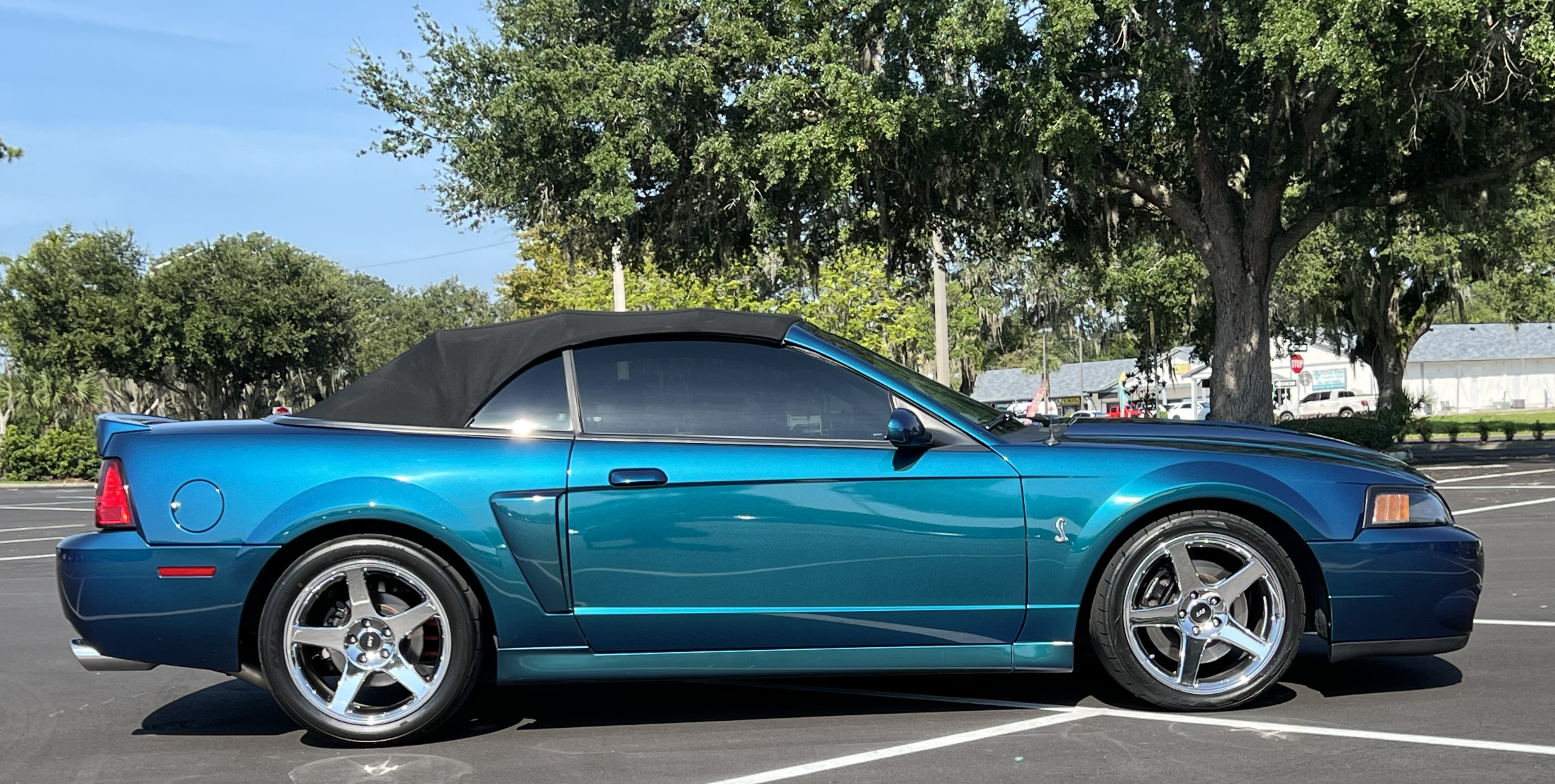 Used 2004 Ford Mustang Cobra RWD image 5