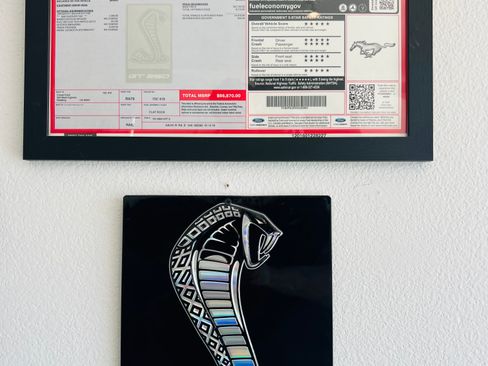 Used 2016 Ford Mustang Shelby GT350 w/ Track Package image 8