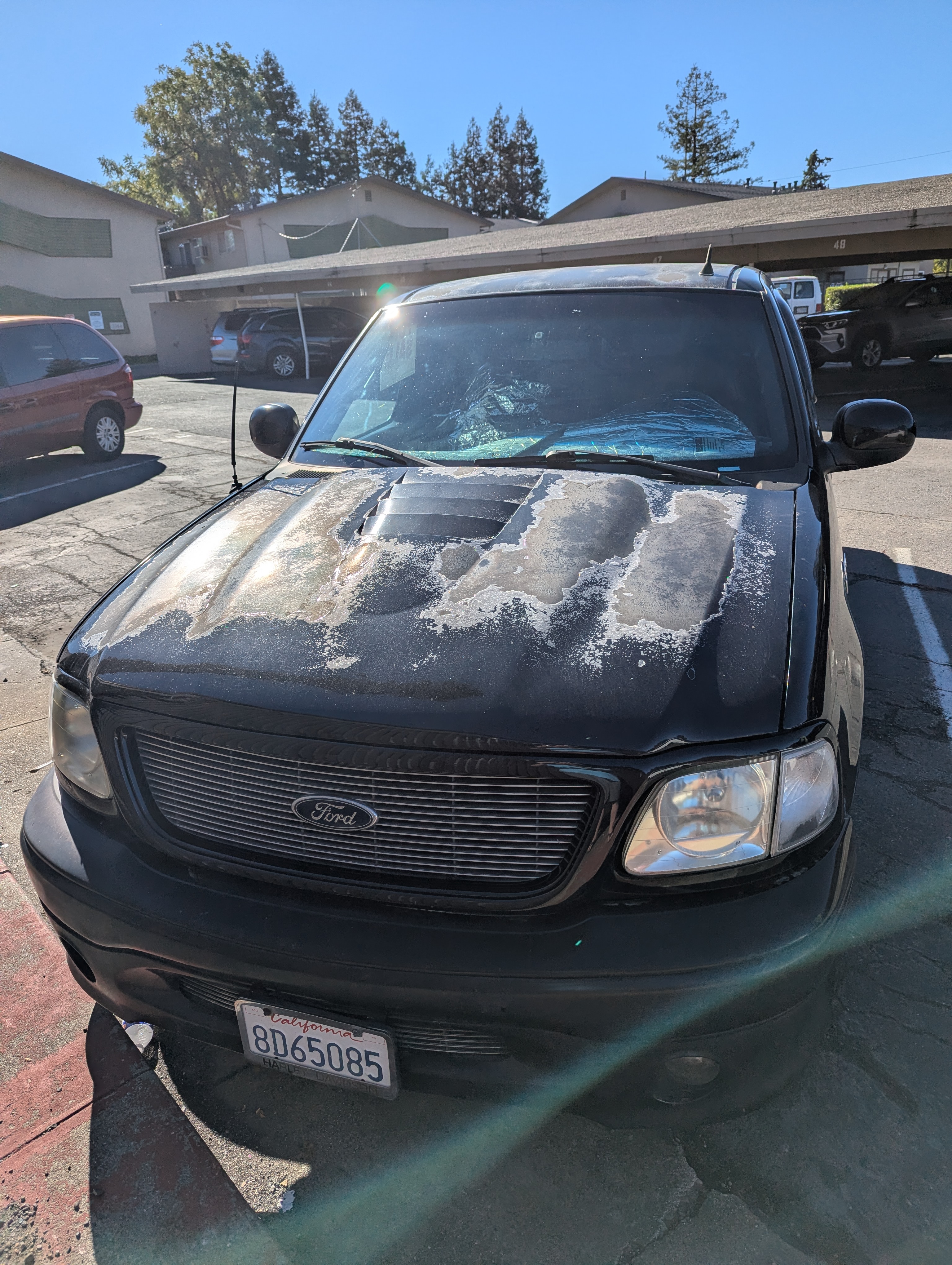 Used 2000 Ford F150 Harley-Davidson RWD image 7