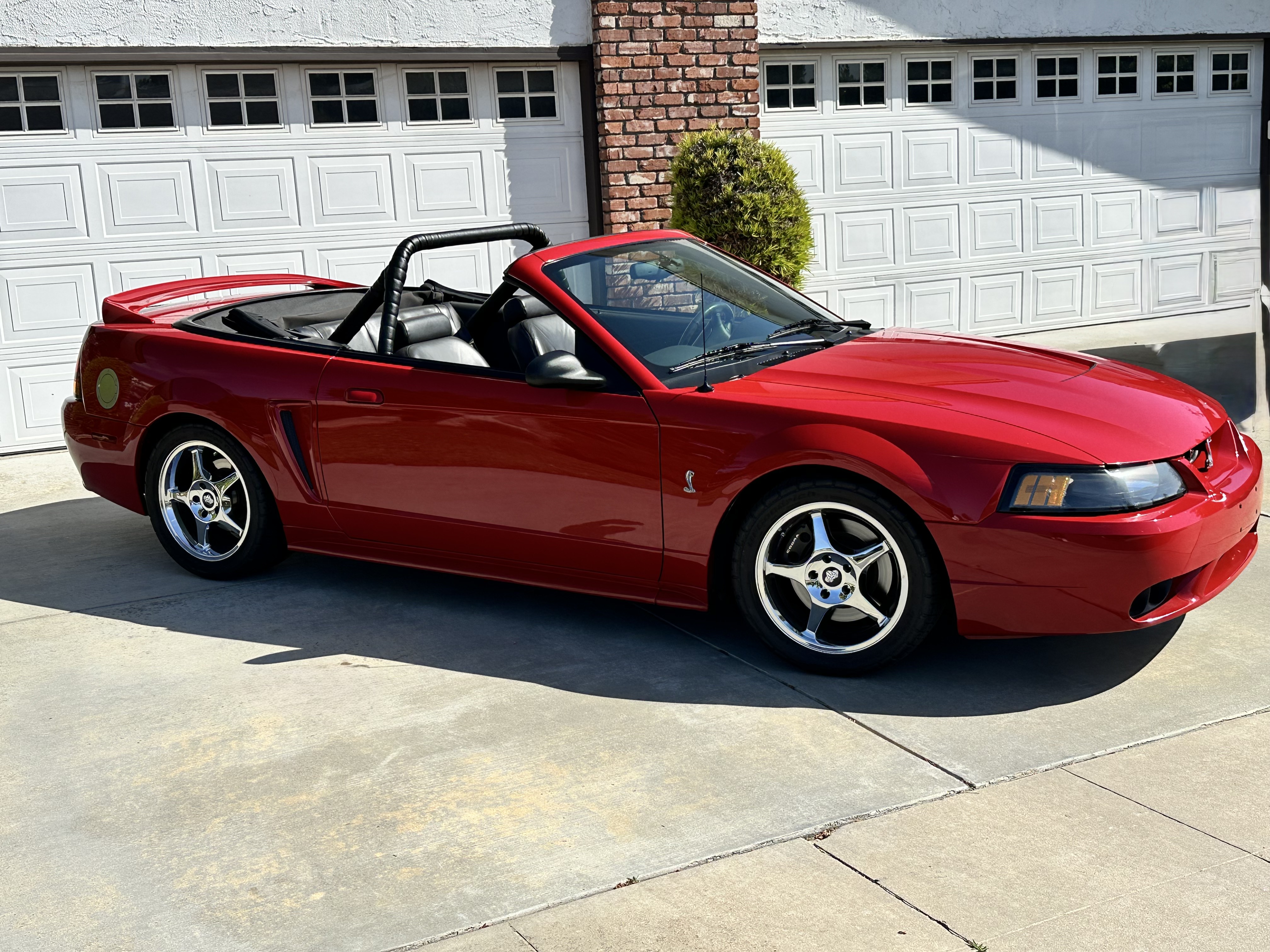 Used 1999 Ford Mustang Cobra RWD image 11