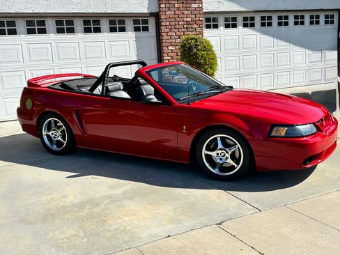 Used 1999 Ford Mustang Cobra RWD image 11