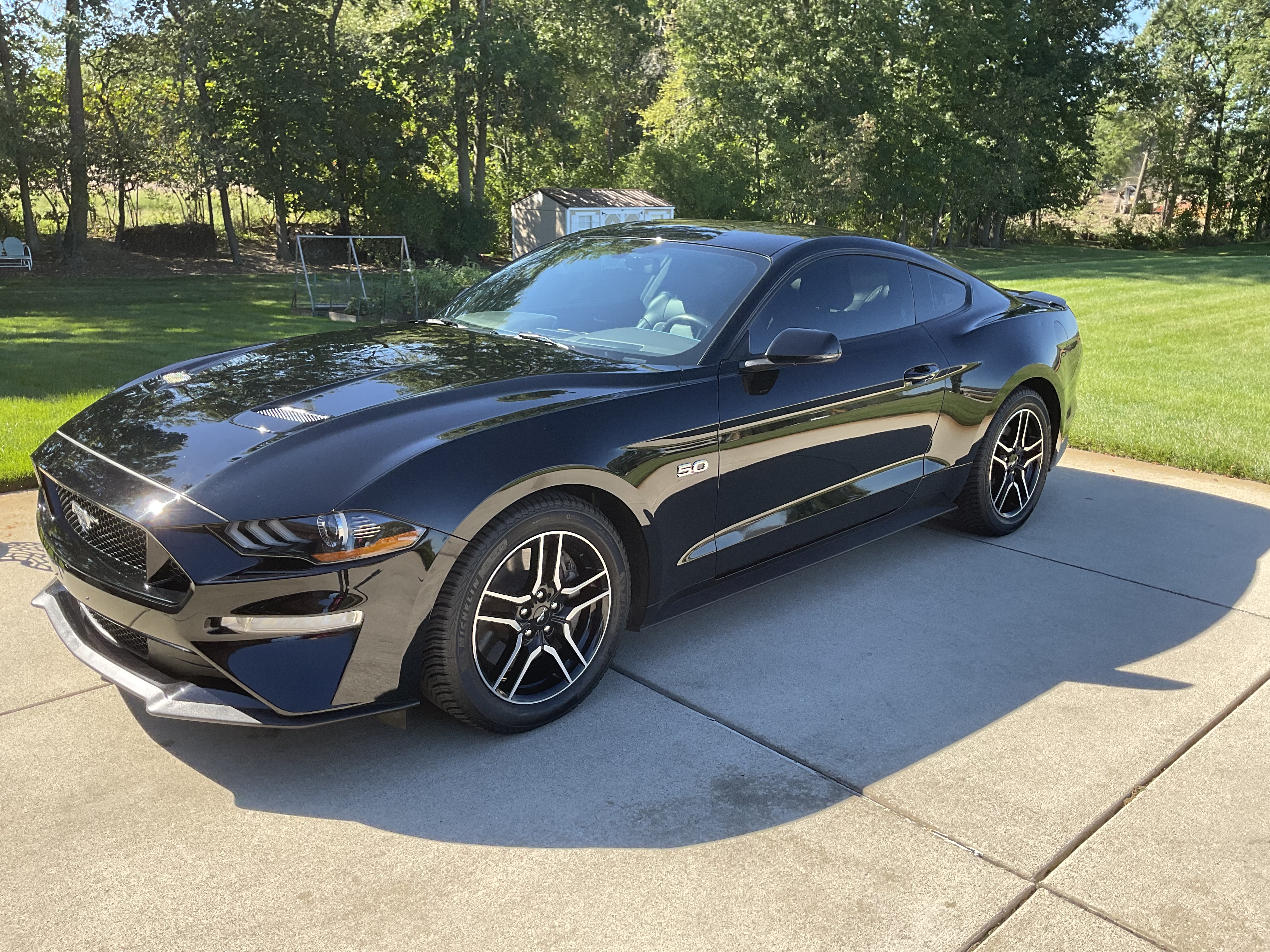 Used 2019 Ford Mustang GT Premium w/ Equipment Group 401A RWD image 2