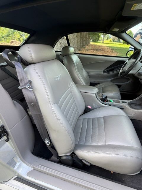 Used 2001 Ford Mustang GT Premium RWD image 6