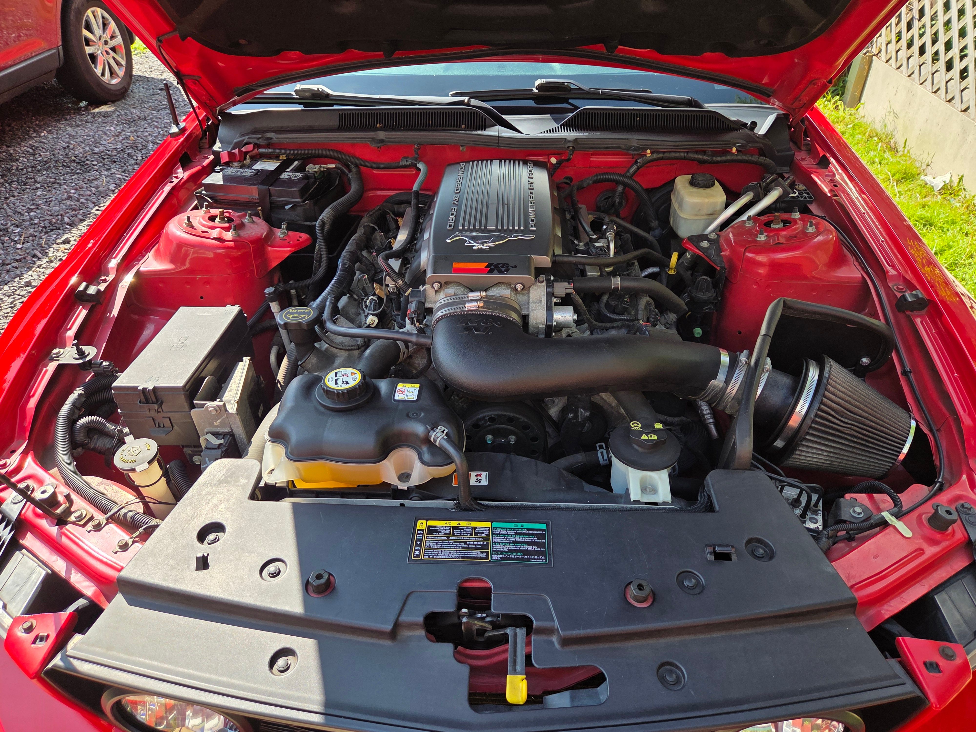 Used 2005 Ford Mustang GT Premium RWD image 12