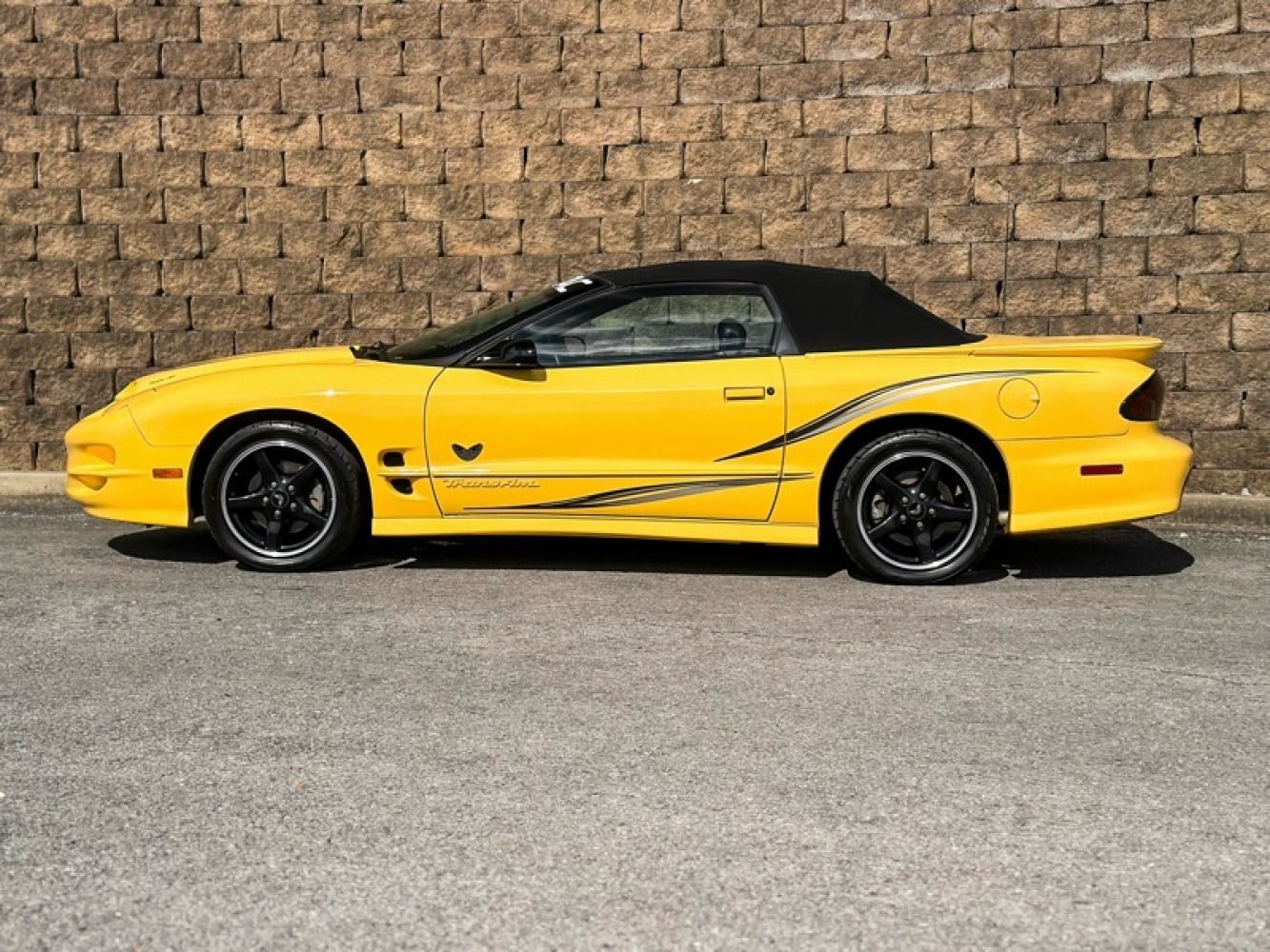 Used 2002 Pontiac Firebird Trans Am RWD image 8